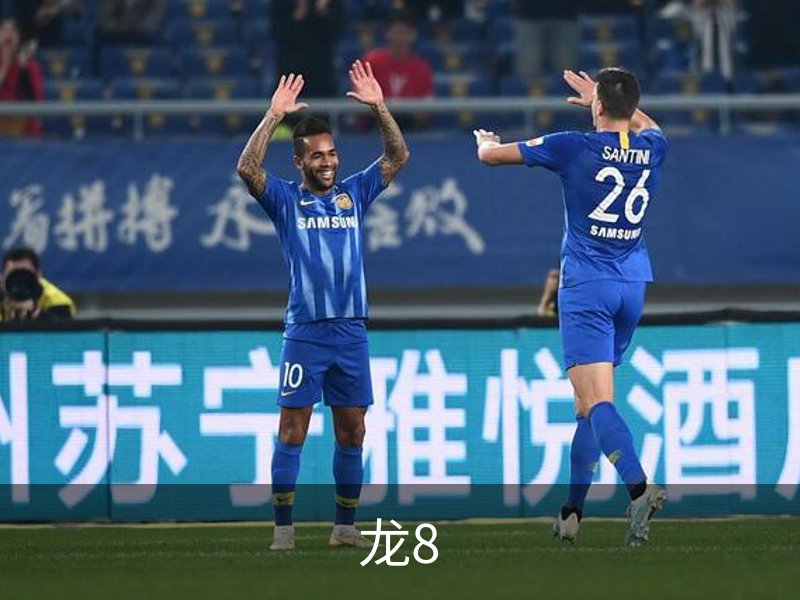 龙8简介